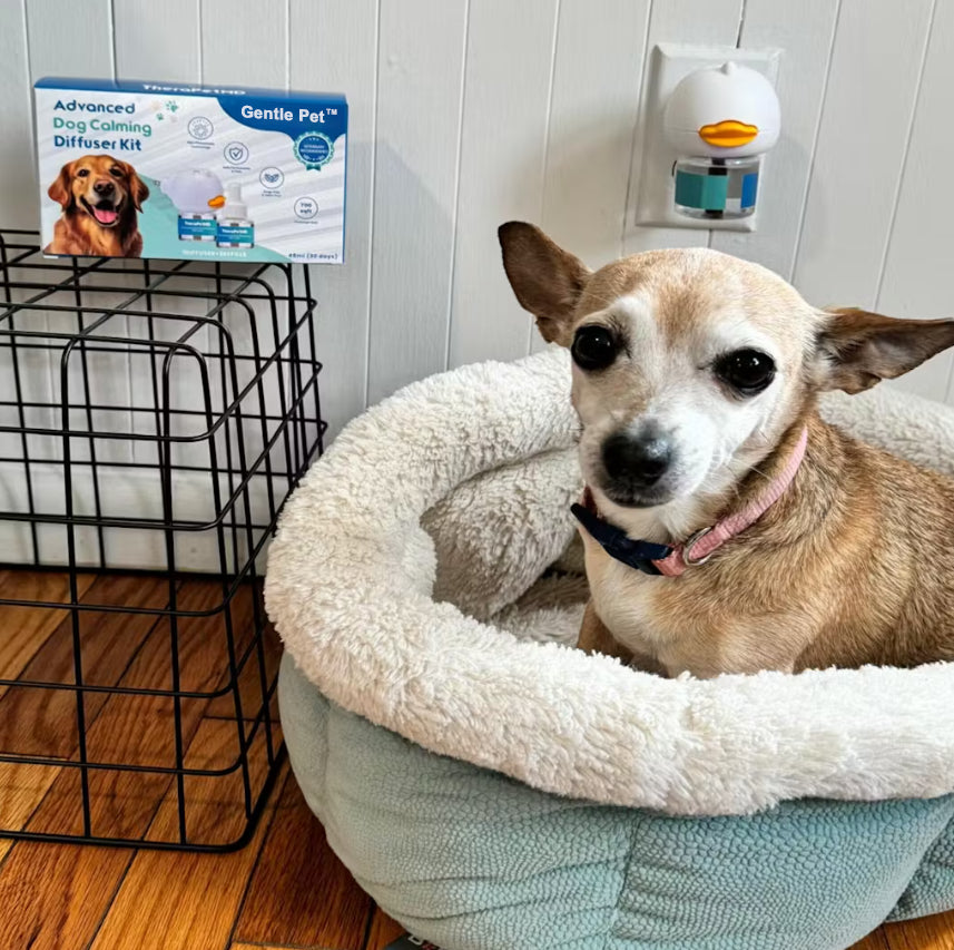 Gentle Pet™ Pet Calming Diffuser