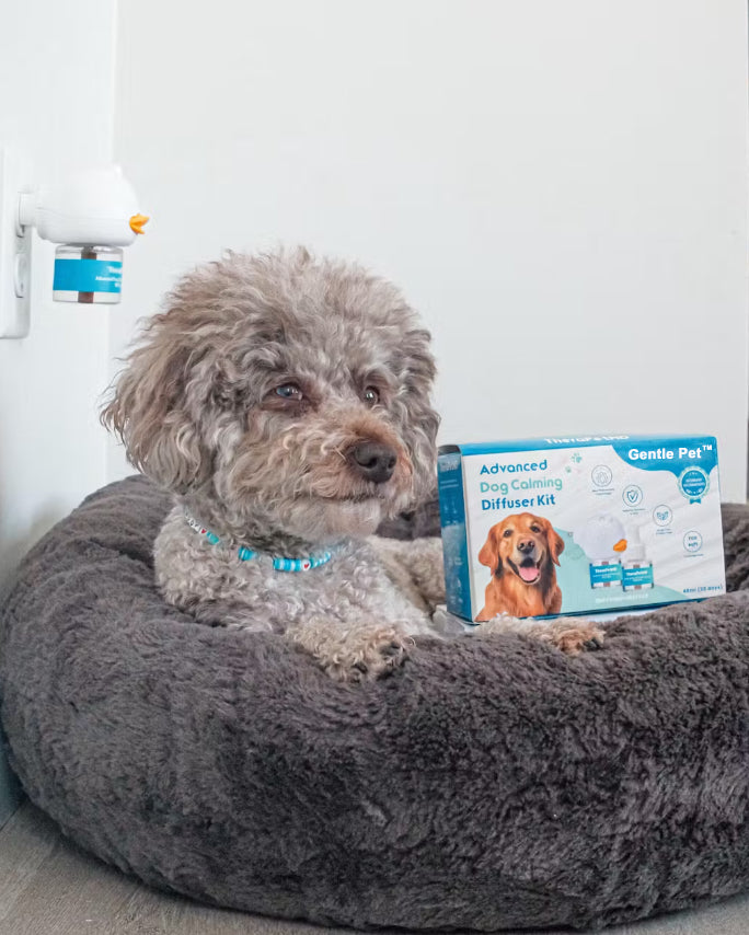 Gentle Pet™ Pet Calming Diffuser