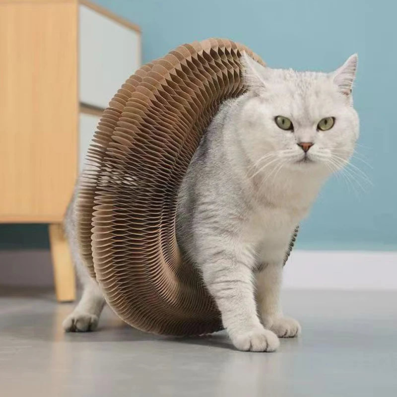 Magic Cat Toy Interactive Cats Ball Toys Kitten Game Training Stuff Fun Multiple Shapes Corrugated Paper Cat House Pet Supplies