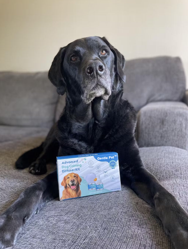Gentle Pet™ Pet Calming Diffuser