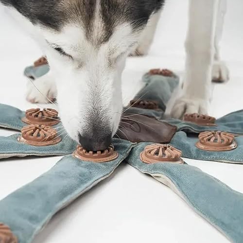 Octopus Dog Toy, the perfect solution for bored dogs; an interactive octopus toy for large breeds; a teething toy for puppies; a durable, challenging chew toy