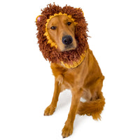 Lion Zoo Snood